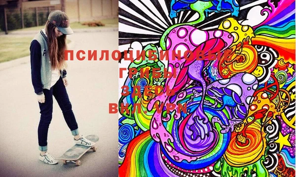 МДПВ Алексин
