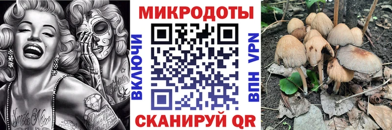 магазин    Чаплыгин  Псилоцибиновые грибы MAGIC MUSHROOMS 